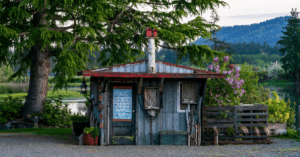 The Something Guy South African Blog Feature Image - 2022-09-15T132220.950