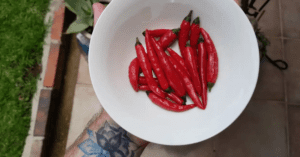 The Something Guy South African Blog Feature Image - 2022-09-15T141457.077