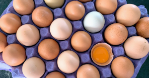 _Article Feature for The Something Guy - South African Blogger (44)