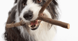 The Something Guy South African Blog Feature Image (80)