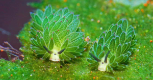 _Article Feature for The Something Guy - South African Blogger - 2024-10-02T132051.112