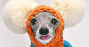 The Something Guy South African Blog Feature Image (7)