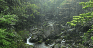 The Something Guy South African Blog Feature Image - 2022-12-13T180229.087