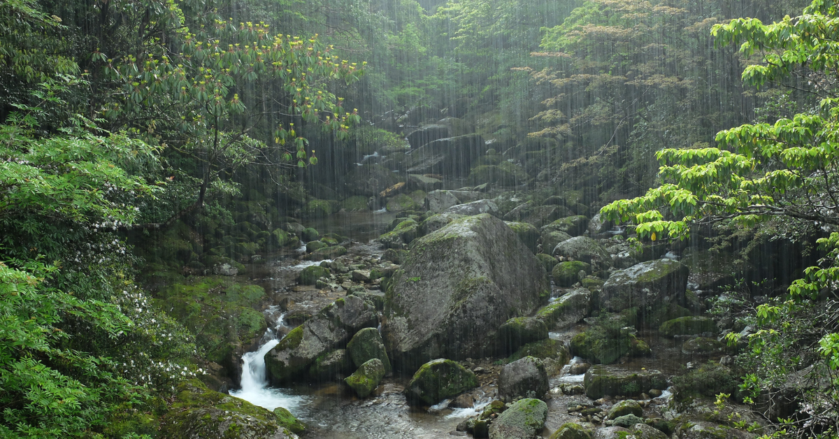 The Something Guy South African Blog Feature Image - 2022-12-13T180229.087