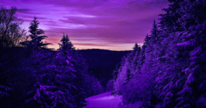 The Something Guy South African Blog Feature Image - 2022-12-15T093422.591