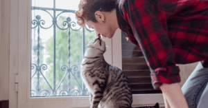 The Something Guy South African Blog Feature Image - 2022-12-15T102134.591