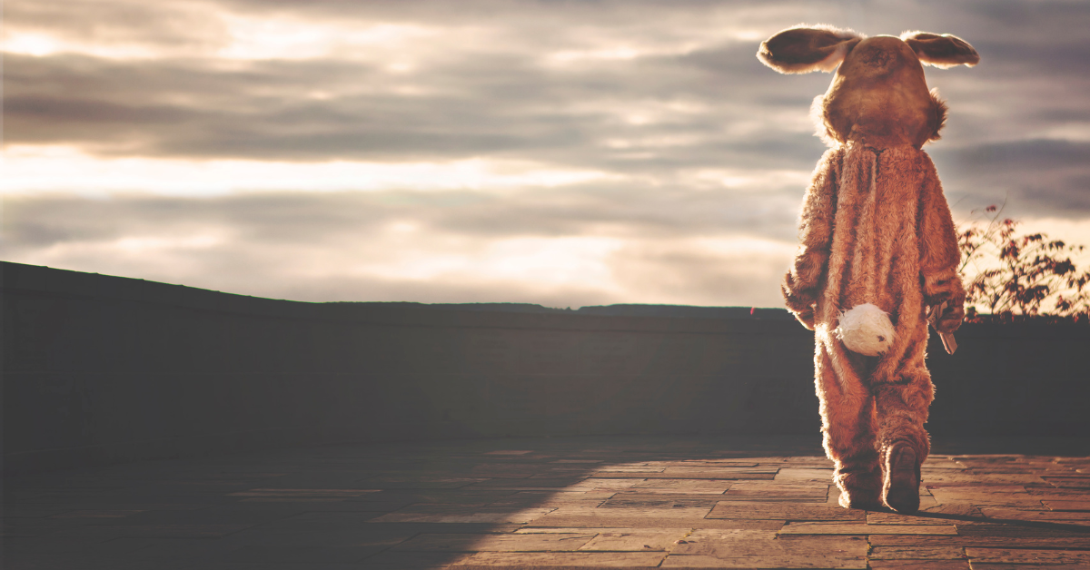 The Something Guy South African Blog Feature Image - 2022-12-15T103928.465