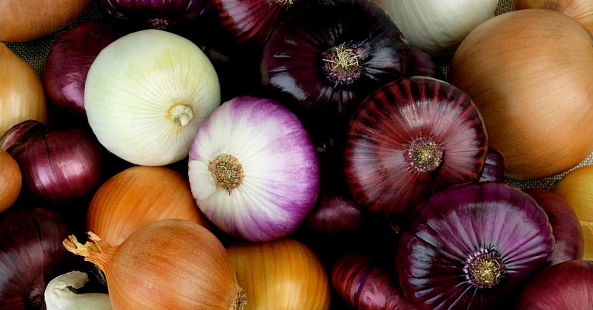 The Something Guy South African Blog Feature Image - 2023-04-11T134331.226