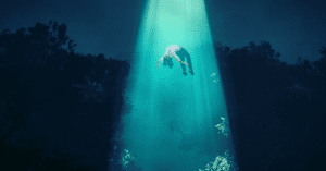 The Something Guy South African Blog Feature Image - 2023-02-15T123419.369