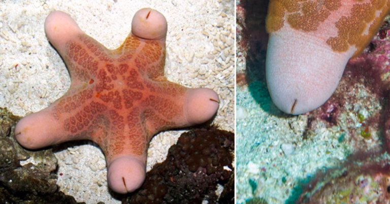 The Something Guy South African Blog Feature Image - 2023-03-30T115315.059