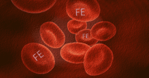 The Something Guy South African Blog Feature Image - 2023-04-11T104050.915