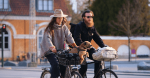 The Something Guy South African Blog Feature Image - 2023-04-11T130424.736