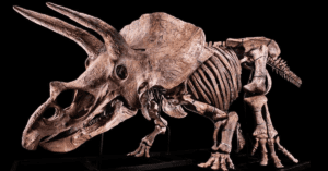 The Something Guy South African Blog Feature Image - 2023-04-18T151704.830