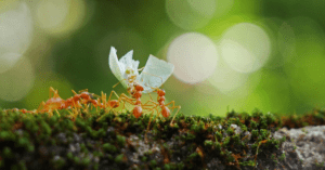 The Something Guy South African Blog Feature Image - 2023-04-18T153753.616