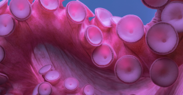 The Something Guy Featured Image - South African Blog (50)