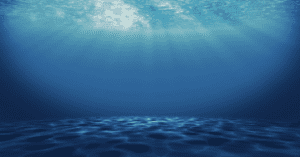 The Something Guy Featured Image - South African Blog (54)