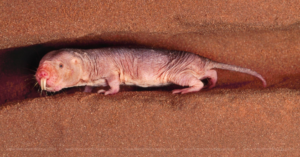 _Article Feature for The Something Guy - South African Blogger (25)