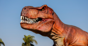 _Article Feature for The Something Guy - South African Blogger (48)