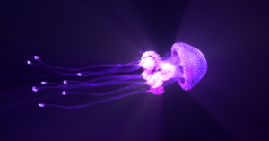 _Article Feature for The Something Guy - South African Blogger (75)