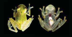 _Article Feature for The Something Guy - South African Blogger (89)