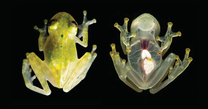 _Article Feature for The Something Guy - South African Blogger (89)