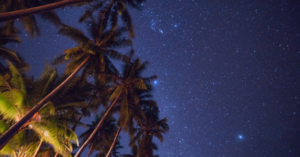 _Article Feature for The Something Guy - South African Blogger - 2024-04-20T110112.252