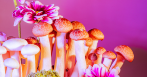 _Article Feature for The Something Guy - South African Blogger - 2024-04-20T111123.974