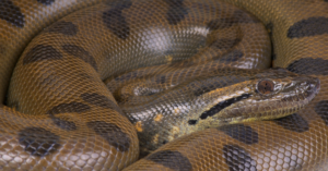 _Article Feature for The Something Guy - South African Blogger - 2024-04-20T112130.954