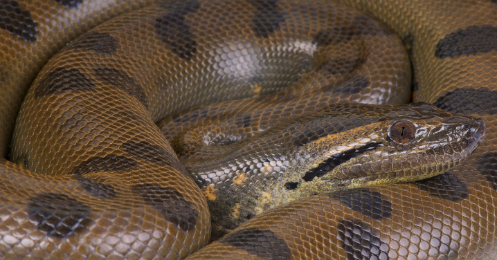 _Article Feature for The Something Guy - South African Blogger - 2024-04-20T112130.954