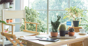 _Article Feature for The Something Guy - South African Blogger - 2024-10-02T105932.240