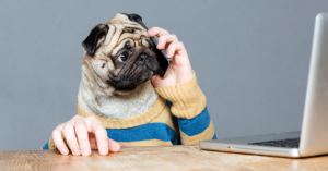 _Article Feature for The Something Guy - South African Blogger - 2024-10-02T112622.473