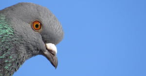 _Article Feature for The Something Guy - South African Blogger - 2024-10-02T120237.397