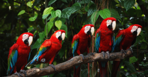 _Article Feature for The Something Guy - South African Blogger (34)