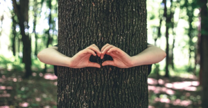 _Article Feature for The Something Guy - South African Blogger - 2025-01-02T143452.893