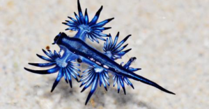 _Article Feature for The Something Guy - South African Blogger (85)