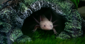 _Article Feature for The Something Guy - South African Blogger (86)