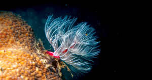 _Article Feature for The Something Guy - South African Blogger (92)