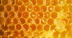 _Article Feature for The Something Guy - South African Blogger - 2025-04-03T153651.708