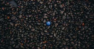 _Article Feature for The Something Guy - South African Blogger - 2025-04-03T154728.429