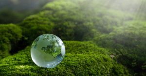 _Article Feature for The Something Guy - South African Blogger - 2025-04-14T201933.863