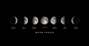 _Article Feature for The Something Guy - South African Blogger - 2025-07-12T094651.958