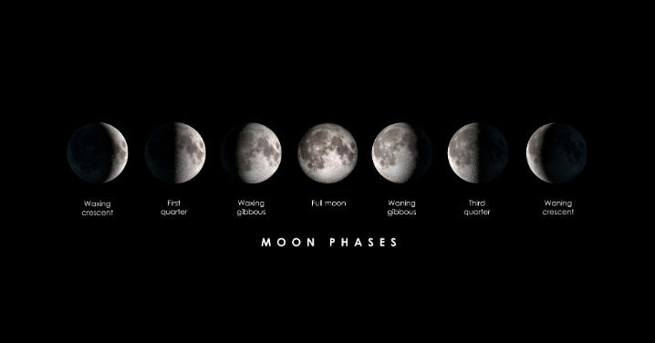 _Article Feature for The Something Guy - South African Blogger - 2025-07-12T094651.958