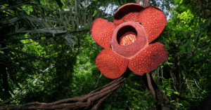 _Article Feature for The Something Guy - South African Blogger (41)