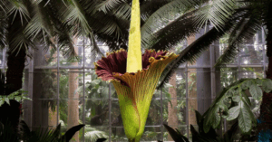 _Article Feature for The Something Guy - South African Blogger (42)