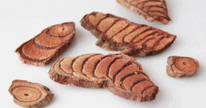 _Article Feature for The Something Guy - South African Blogger (43)