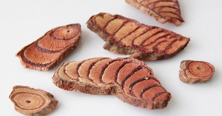 _Article Feature for The Something Guy - South African Blogger (43)