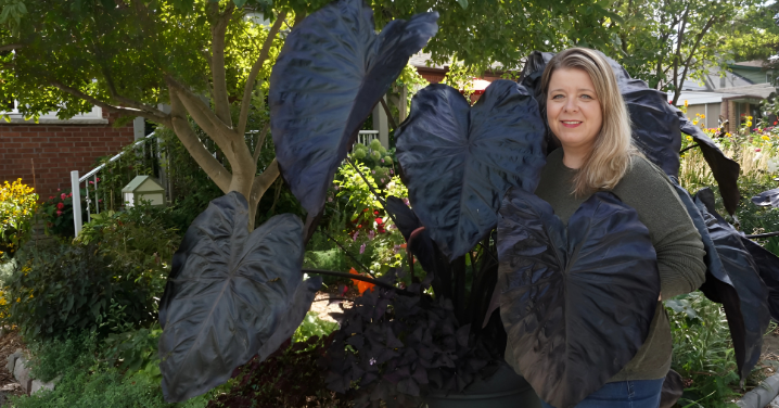 _Article Feature for The Something Guy - South African Blogger (44)