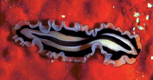 _Article Feature for The Something Guy - South African Blogger (52)