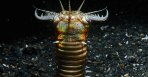 _Article Feature for The Something Guy - South African Blogger (53)