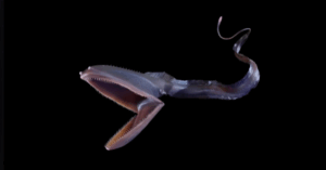 _Article Feature for The Something Guy - South African Blogger (56)